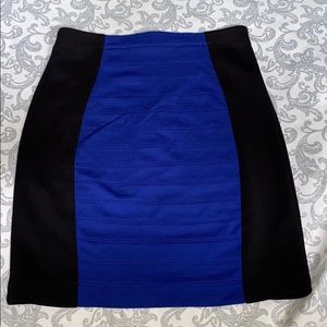 Express Skirt